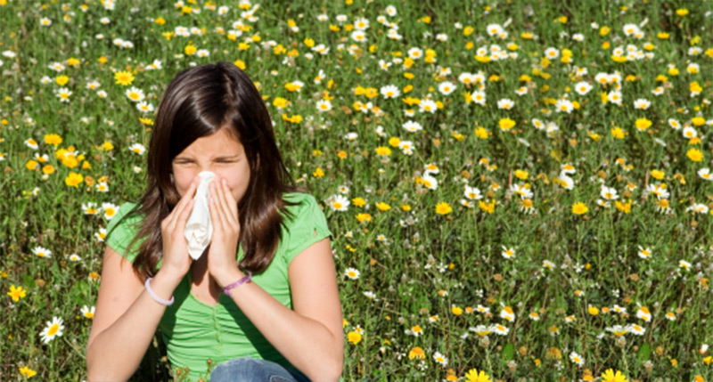 Relief From the Symptoms of Seasonal Allergies