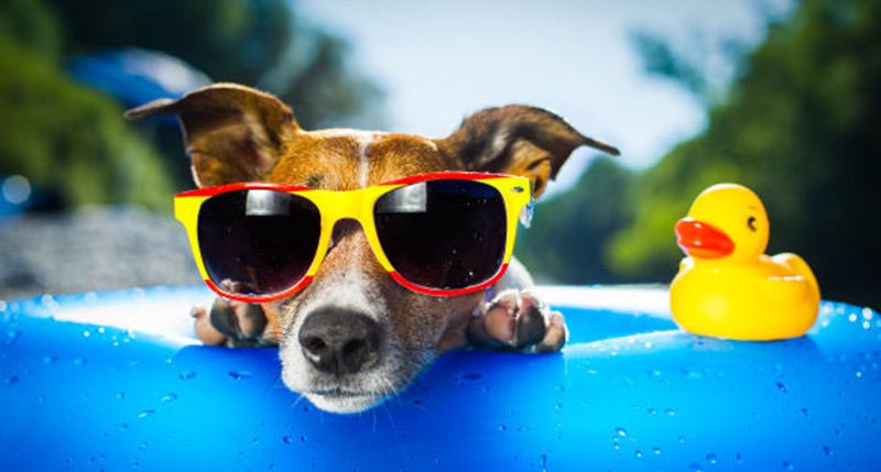 Sunwear is Good Eye Health Care:  Six reasons you should wear sunglasses more often.